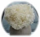 Hanabiratake  (Sparassis Crispa)  Powder Products Made in Japan by Echigo Hanabiratake