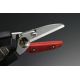 Pruning Scissors