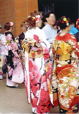 Beatifull kimono dress made by Habuki in Tokamachi Niigata japan