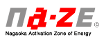 Nagaoka Activation Zone of Energy