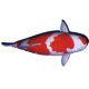 Japan Koi Export logo