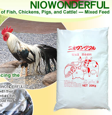 Natural Food Supplement [NIOWONDERFUL] Products Made in Japan by Flora Co., Ltd.